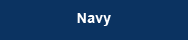 NameSpotsNavy